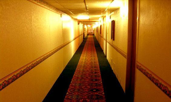 Executive Inn - น็อกซ์วิลล์ ภายใน รูปภาพ